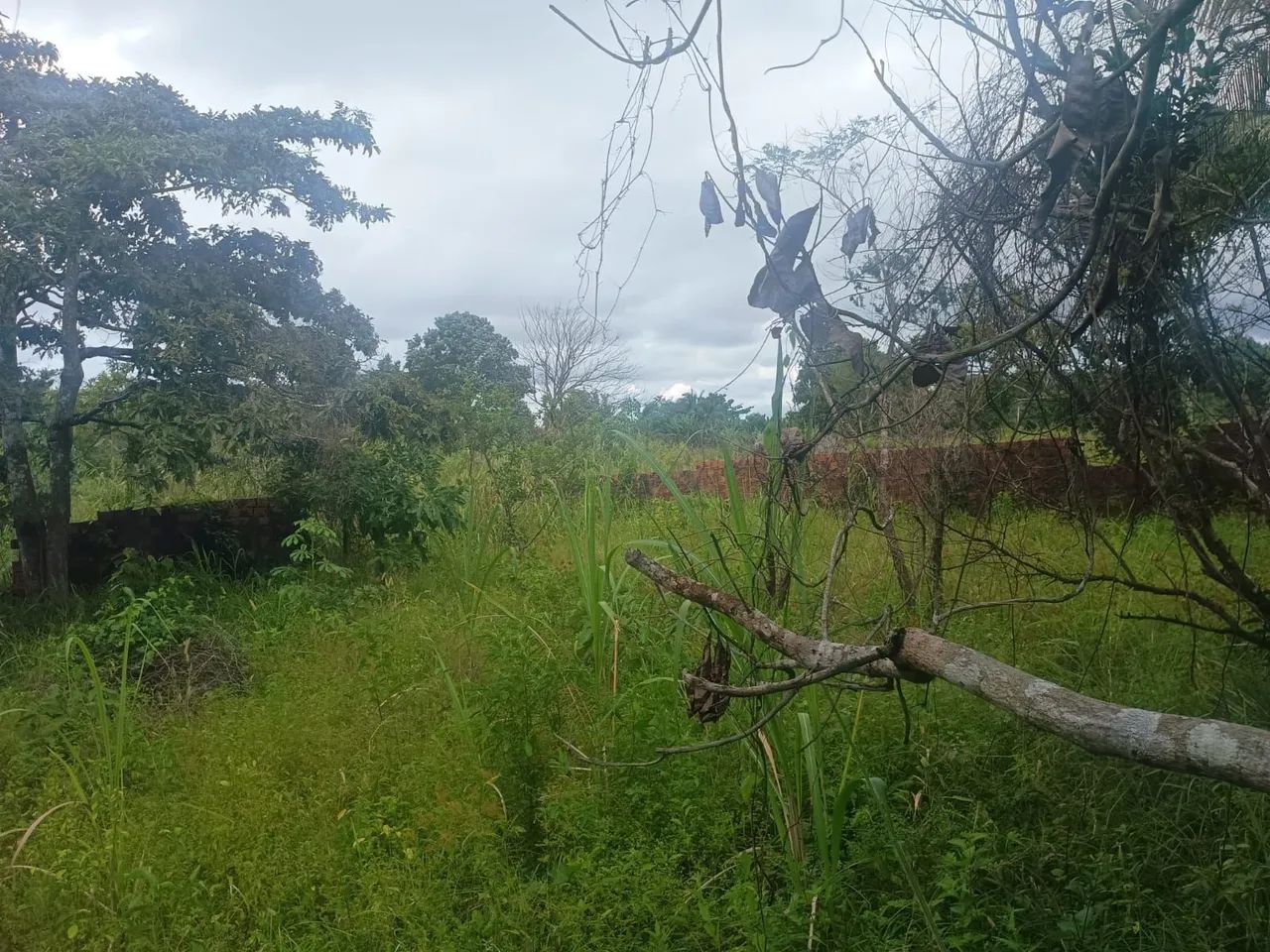 Vendo terreno amplo  com casa  - Foto 4