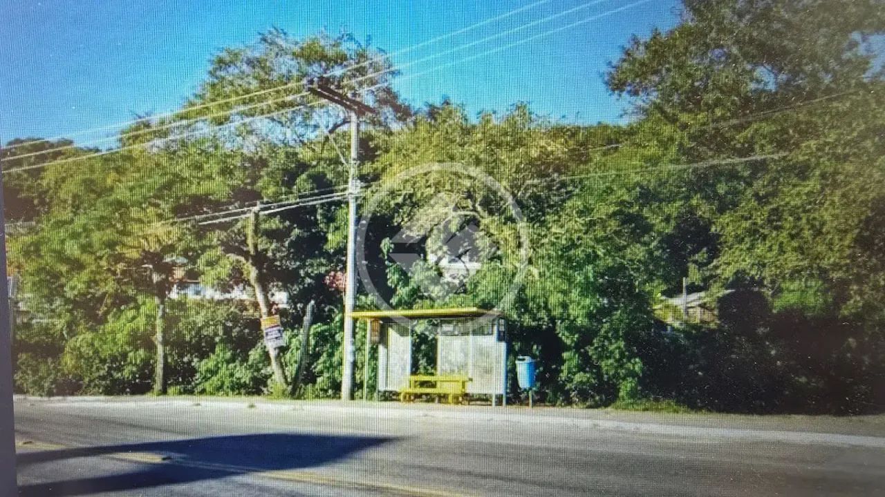 Terreno no Campeche codigo: 284654