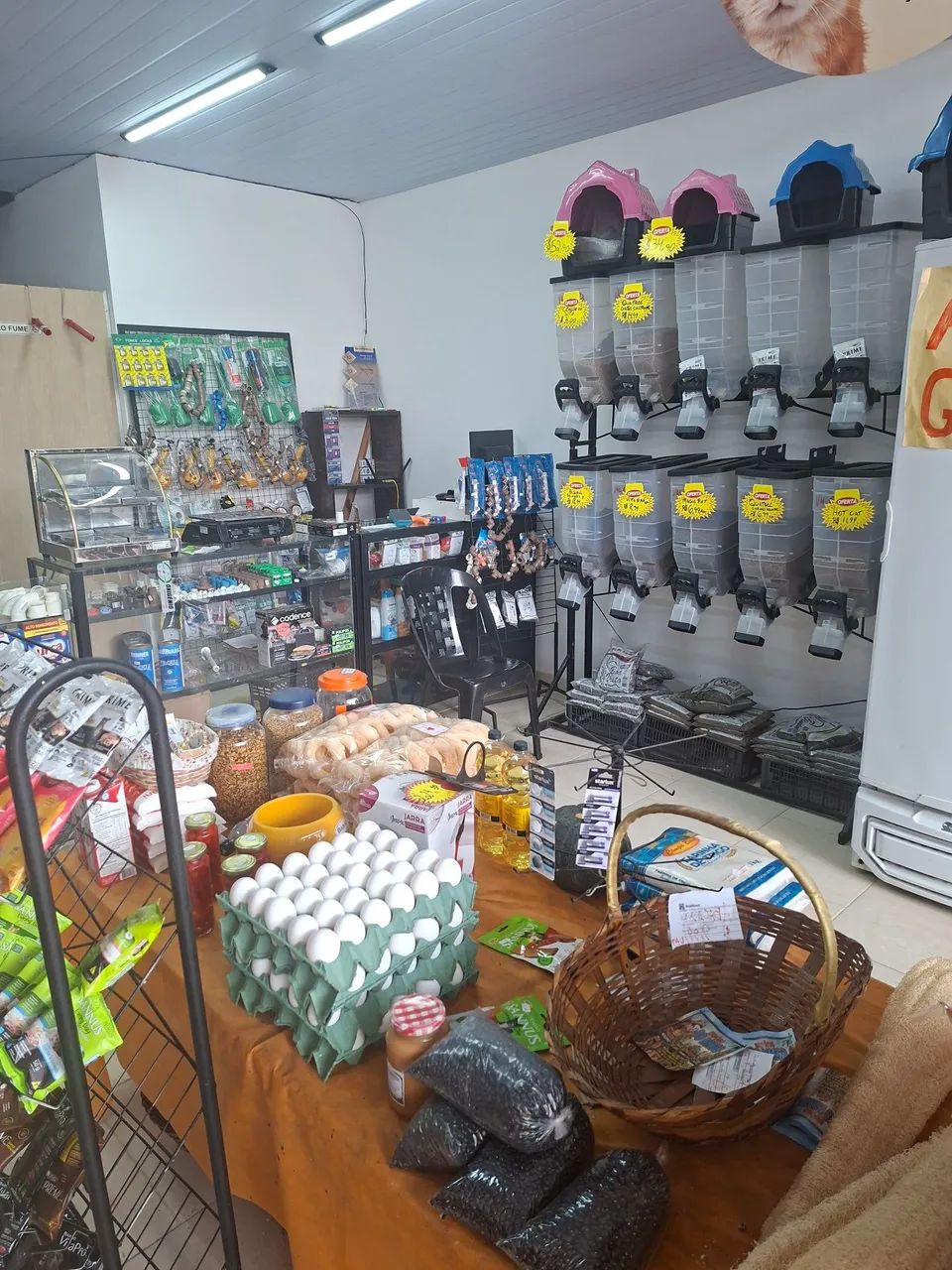 Loja comercial  - Foto 3
