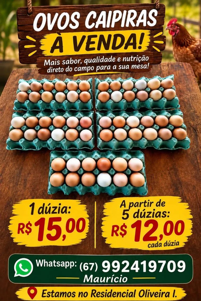 Venda de ovos caipira 