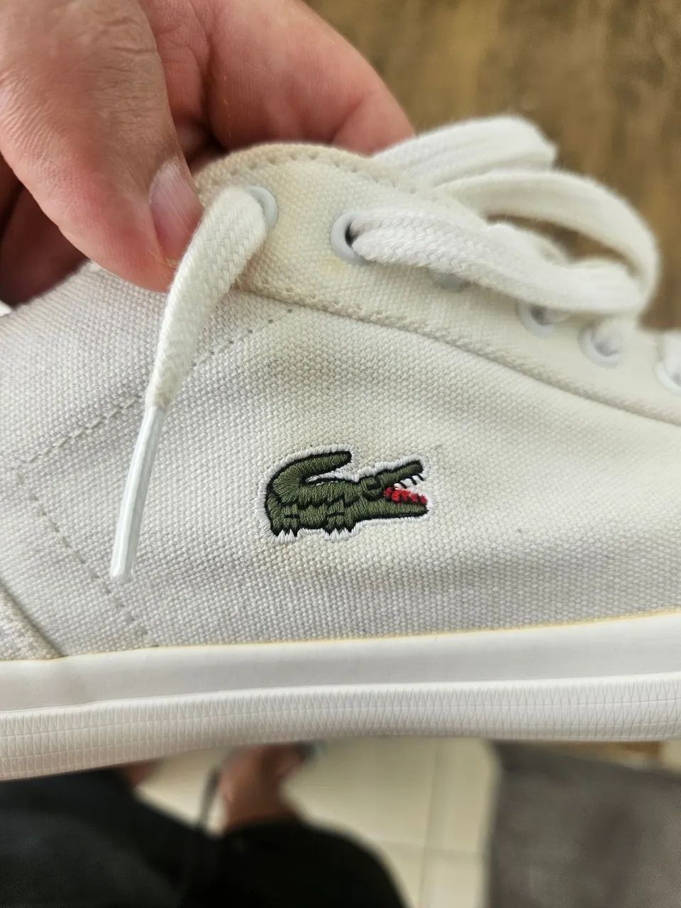 Tênis lacoste masculino 