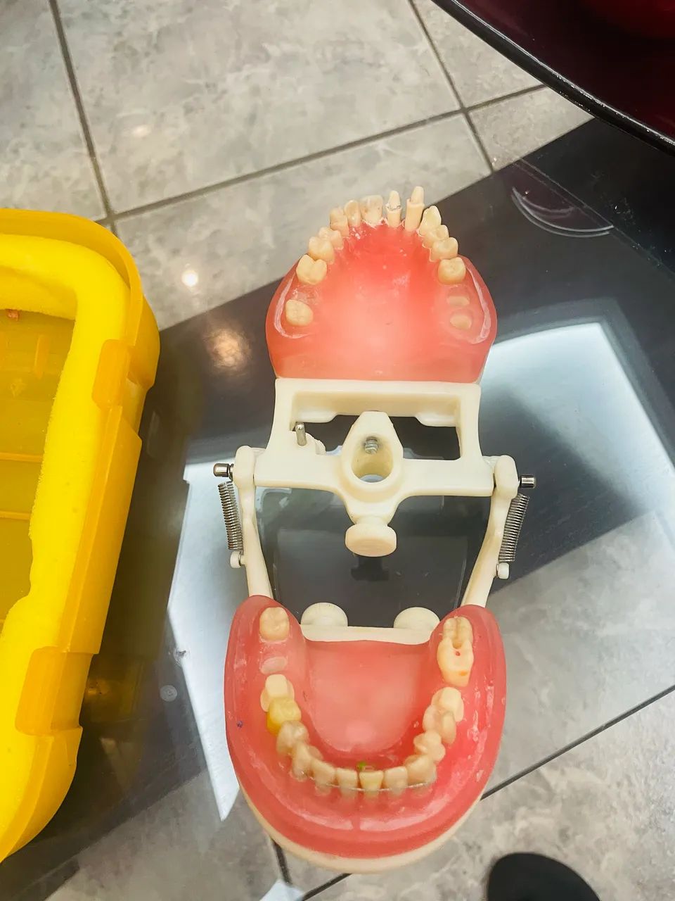 Manequim Odontológico  - Foto 4