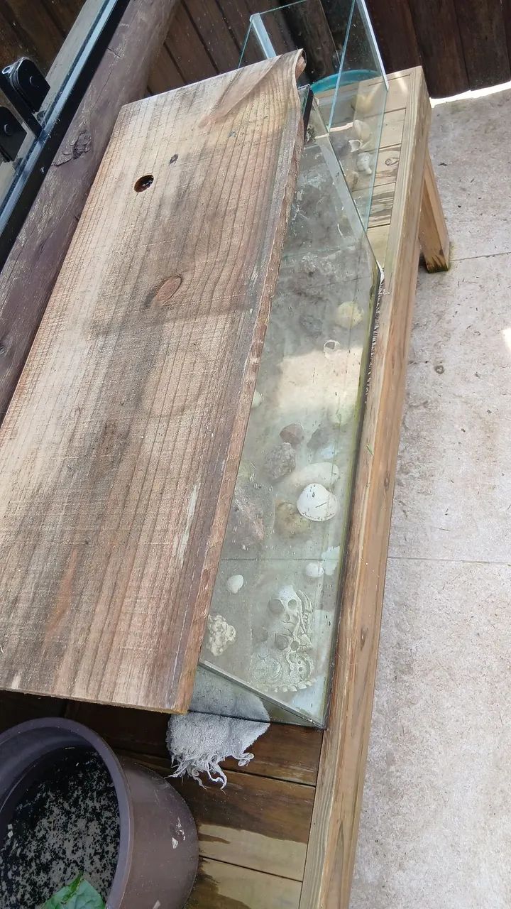 Aquario - Foto 2