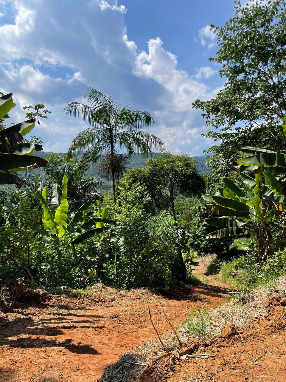 Chácara a venda Miracatu/SP - Foto 4