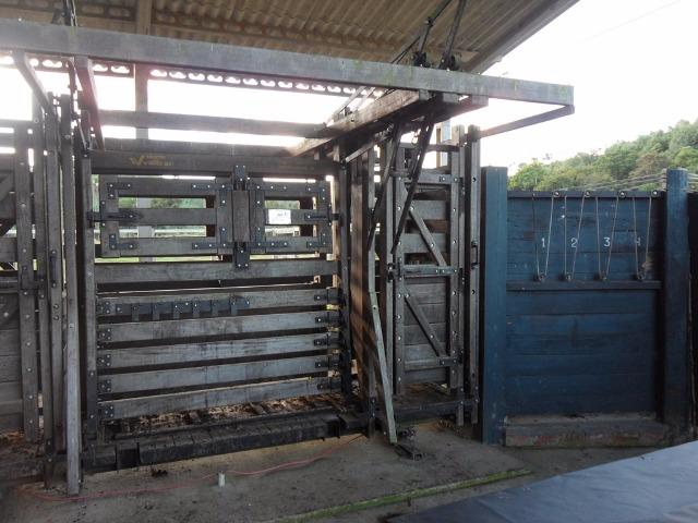 Fazenda para Gado - Foto 5