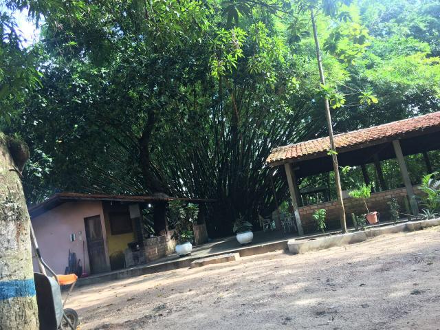 Axixá - Maranhão: Excelente Fazenda p/ Vender - Foto 20