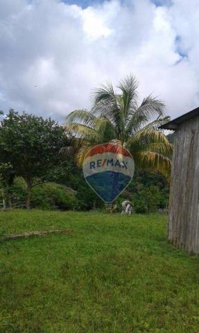 Fazenda à venda em una. - Foto 9