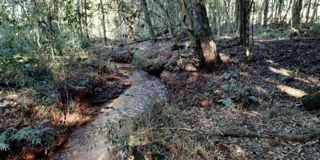 Chácara de 6.000m² saída pra Corbélia 150 mil