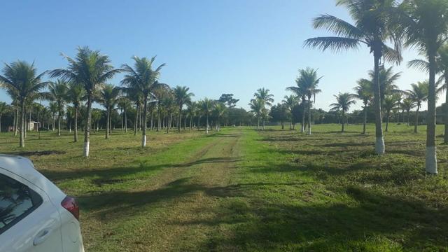 Ll Terrenos Próximo ao Trevo de Búzios. - Foto 5