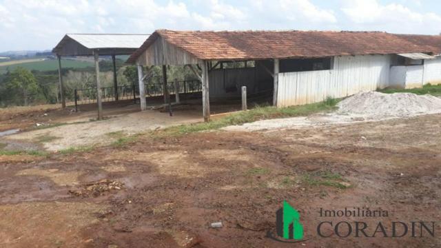 Chácara em Ipiranga- PR - Foto 8