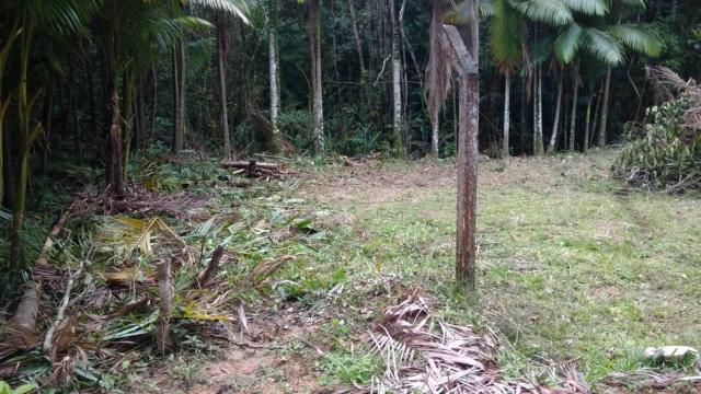 Vendo terreno no gasparinho R$ 42.000,00