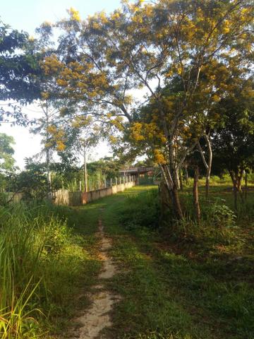 Troco essa chácara por casa,caminhonete ou galpão - Foto 5