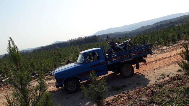Vendo ford f-1000 - Foto 4