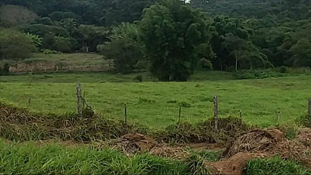 Lote Pra Construção De Seu Sitio,direto Com O Dono - Foto 6