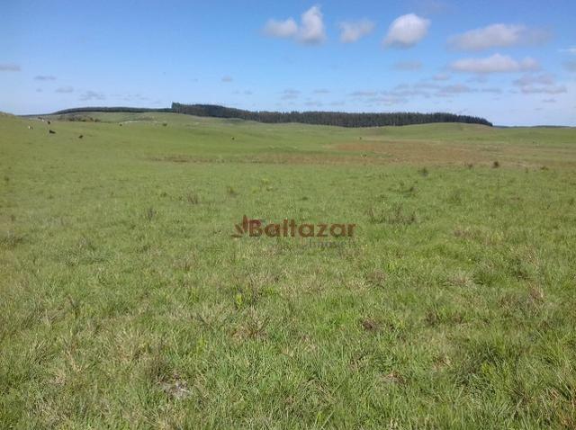 Vendo este excelente e magnífico campo, um verdadeiro paraíso, com a área de 150 hectares - Foto 5
