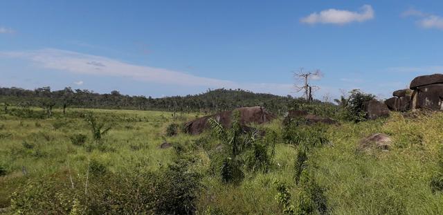 Terreno - Foto 11