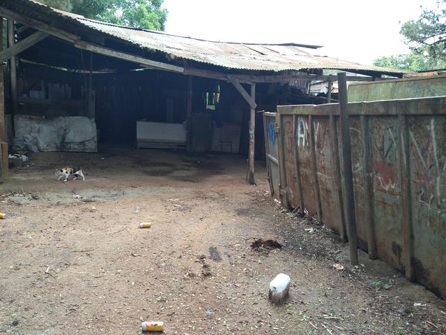 Vendo área na protasio - Foto 5