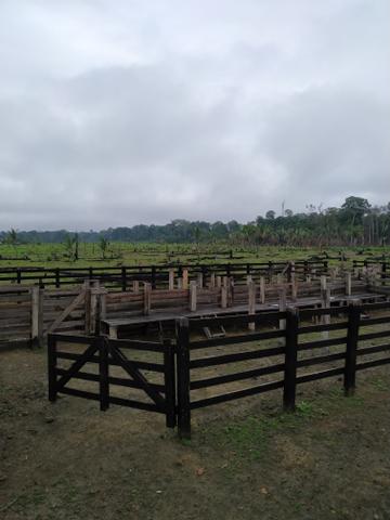 VENDE -SE Terra na Samuel candeias do jamari - Foto 3