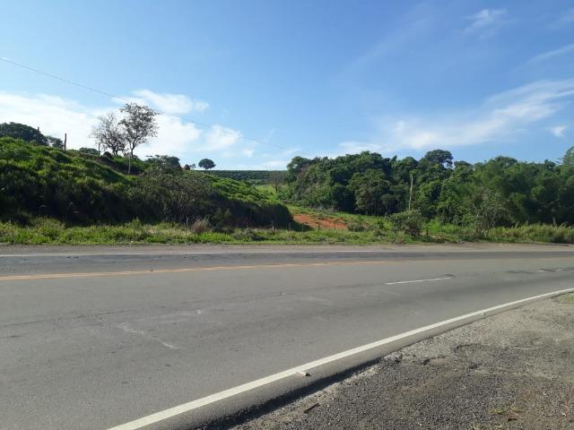 Área 20.000 m2 ao lado da walita em frente à rodovia BR 491 - Foto 11