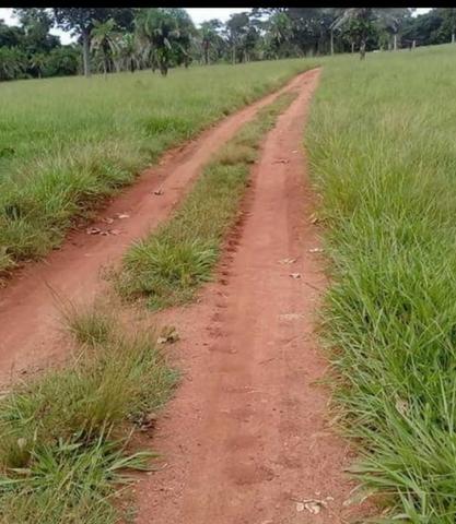 109 Alq. Entrada 50% Da Condições Planta 75 Dupla Aptidão Da Pivô Estruturada Piranhas GO - Foto 20