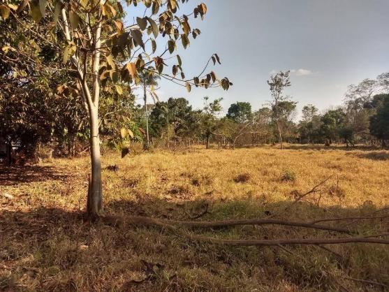 Chácara à venda, 4000 m² por r$ 230.000 - san diego - goianira/go