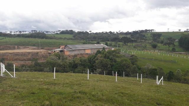 Vendo uma chácara em Alfredo Wagner 25.000 - Foto 2