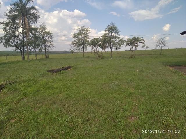 Vendo fazenda 250 alqueires próxima a presidente prudente - Foto 16