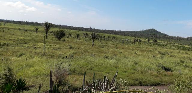 Terreno - Foto 7