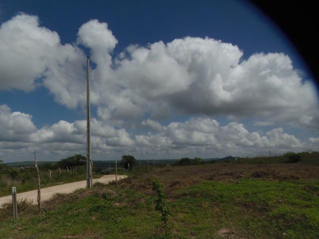 Terreno Gravata 1.100m2 - Foto 5