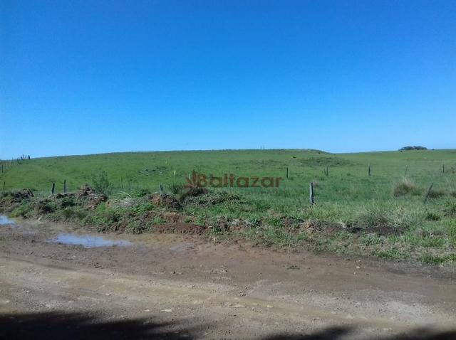 Vendo este excelente e magnífico campo, um verdadeiro paraíso, com a área de 150 hectares - Foto 8