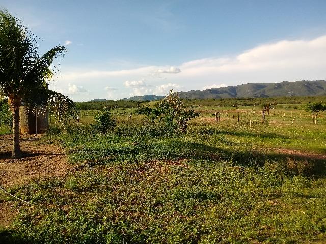 Propriedade rural - Foto 17
