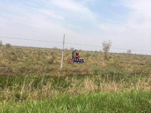 Excelente Fazenda a venda em Corumbá-MS - Foto 8