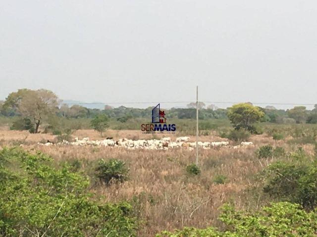 Excelente Fazenda a venda em Corumbá-MS - Foto 6
