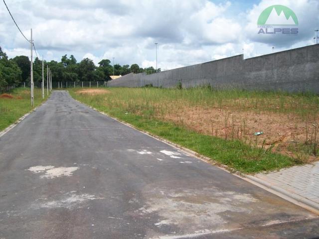 Terreno residencial à venda, braga, são josé dos pinhais. - Foto 6