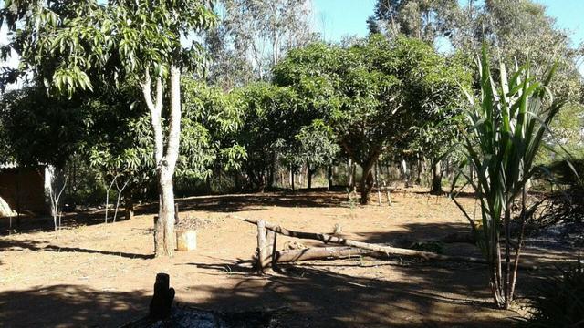 Chácara 1200 m² Bragança Pta! Negócio seguro é aqui.Cód. BEA-1 - Foto 16
