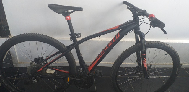 bici specialized rockhopper 29