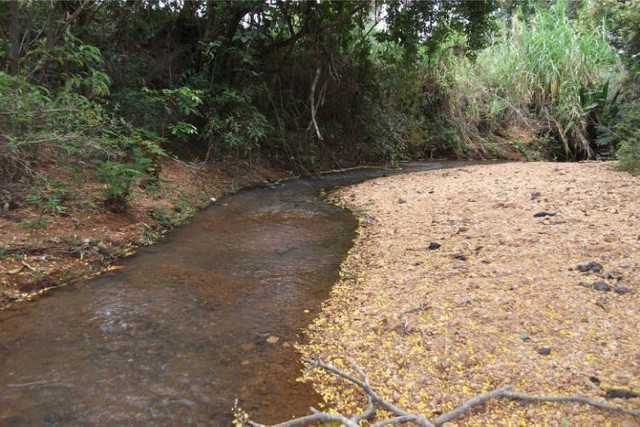 1.000 metros com Riacho OPortunidade Serra do Cipo - Foto 2