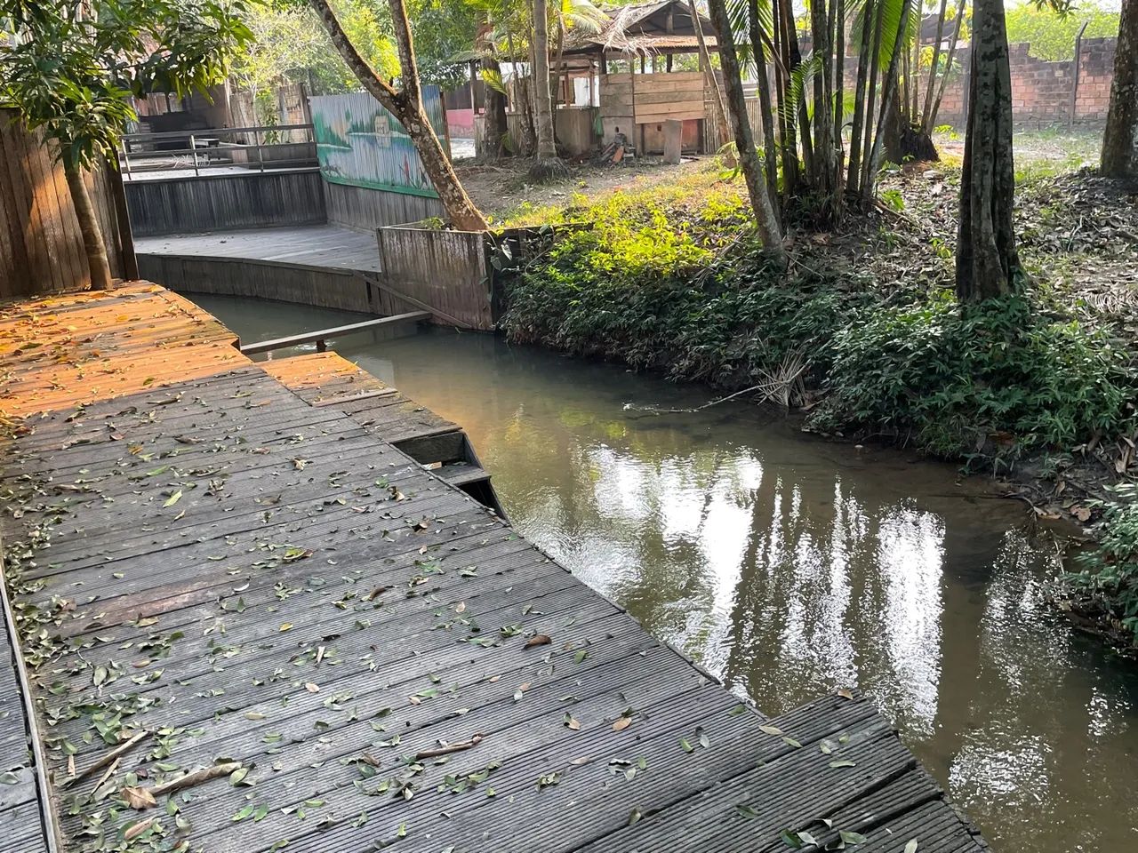 Terreno com Igarapé Av. Everaldo Martins KM 8 - Foto 9