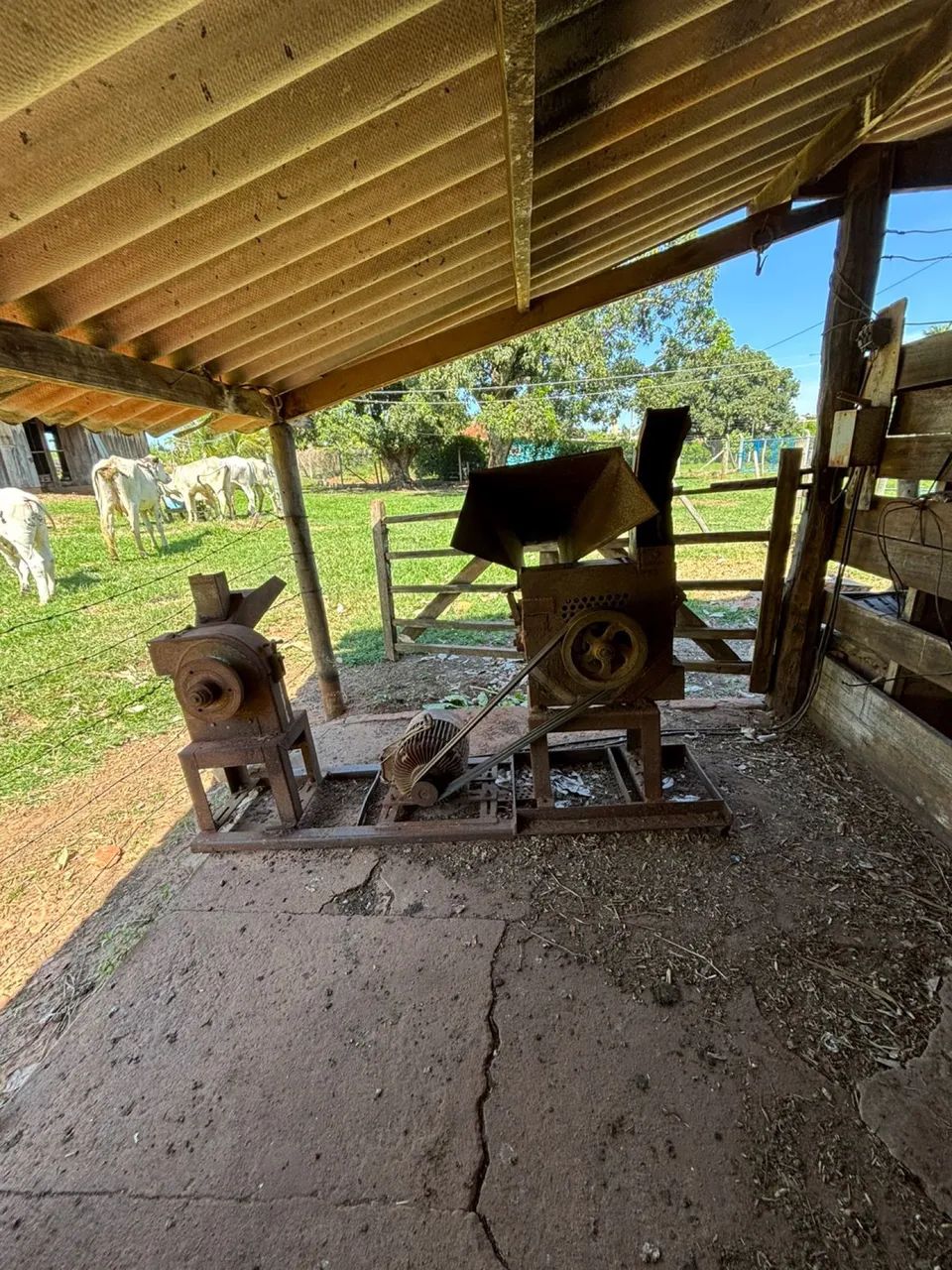 Picadeira de milho e cana Nogueira n° 3 + Trituradeira de cana Nogueira - Foto 3