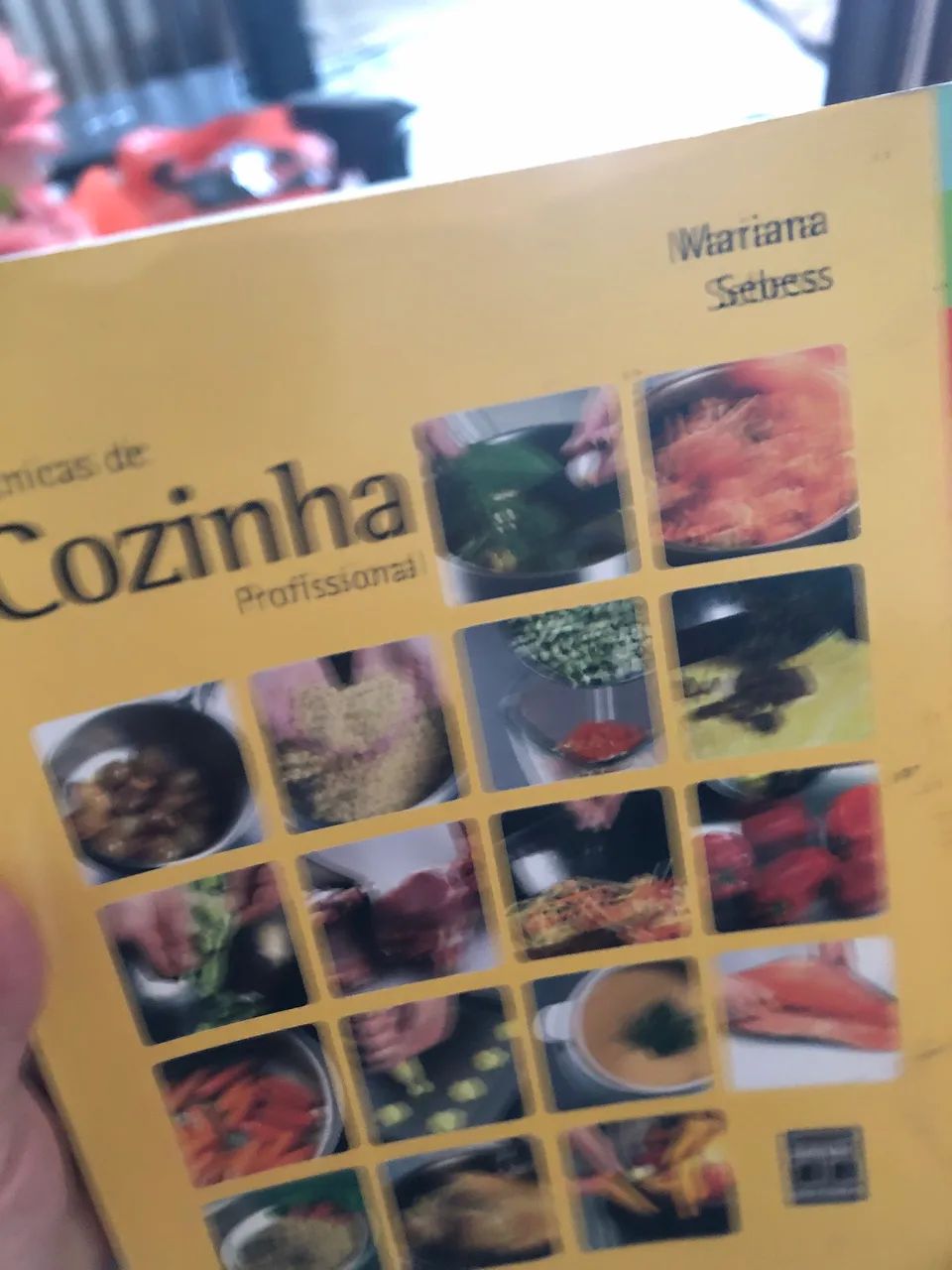 Livro tecnicas de cozinha