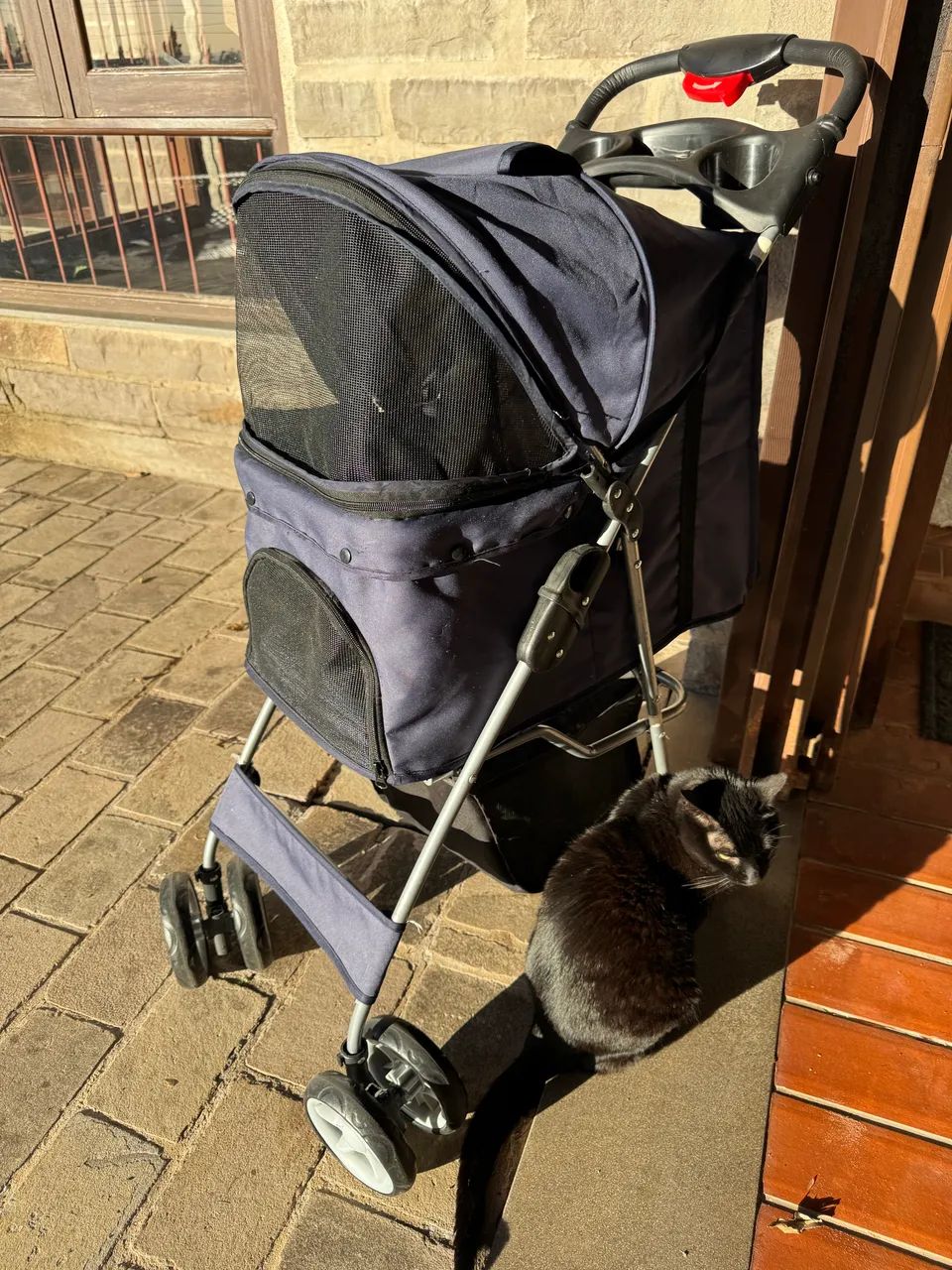 Carrinho Pet64293084720898121