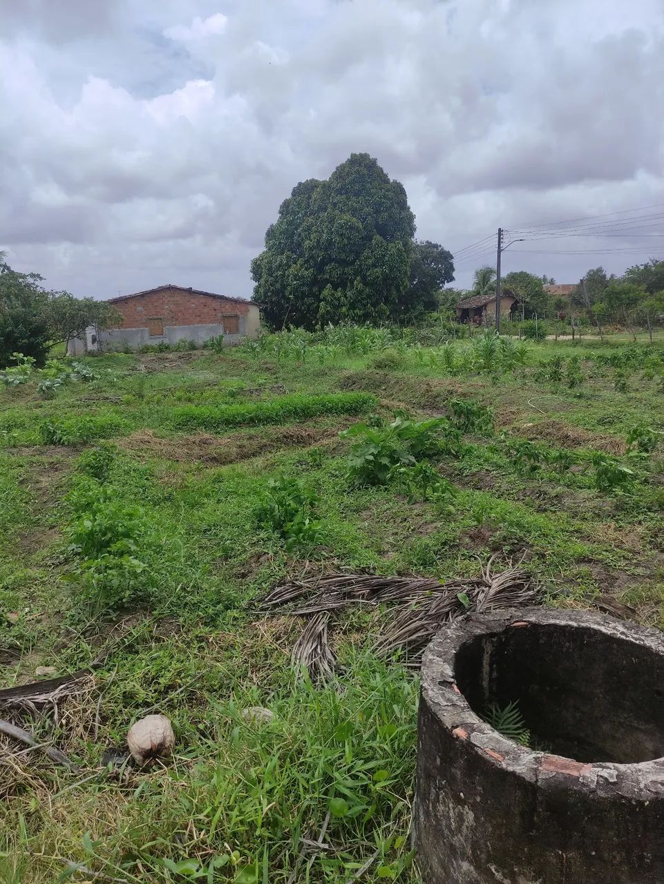 Sítio com casamuito bom na cidade  - Foto 4