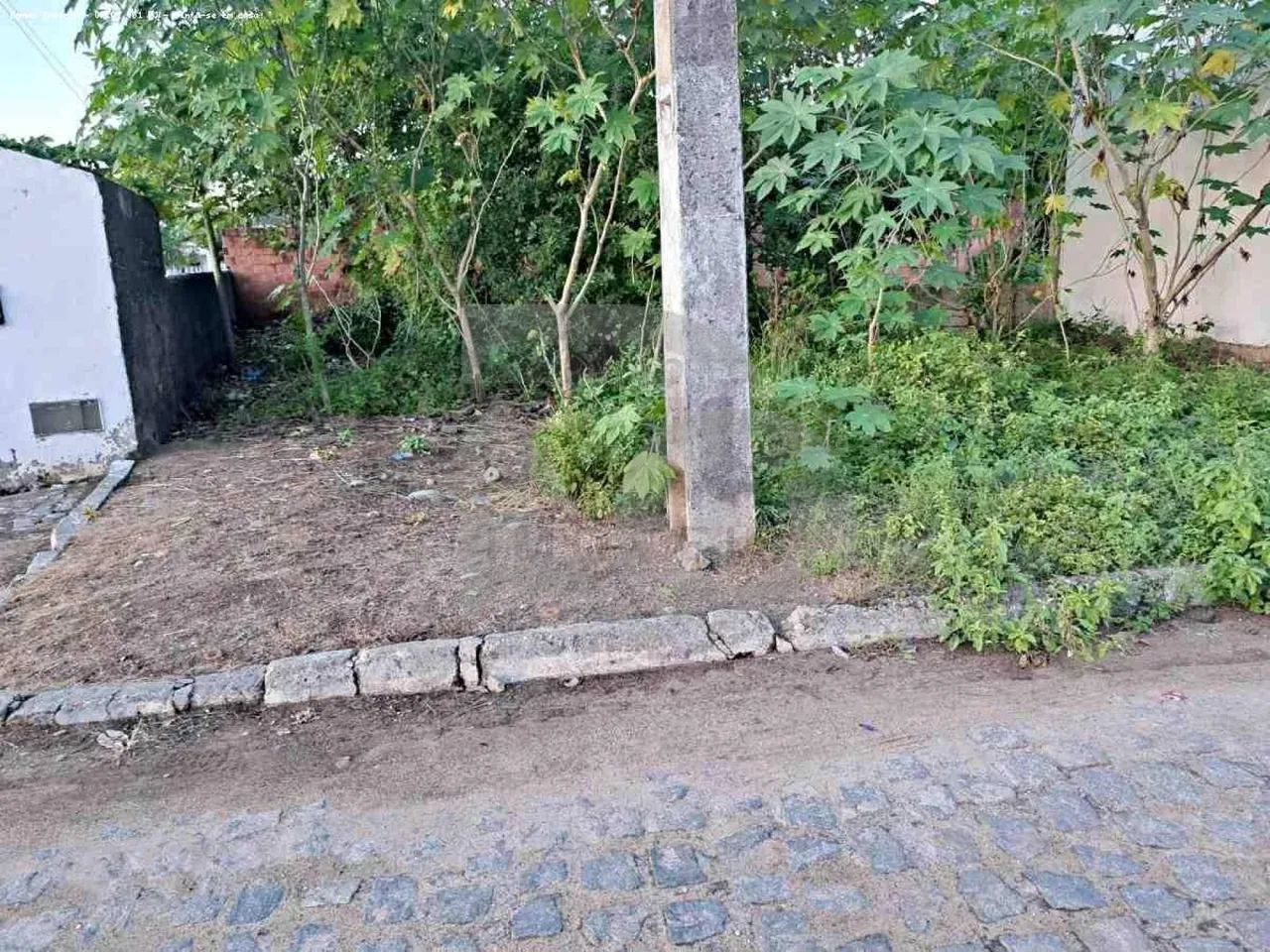 Terreno para Venda - Foto 2