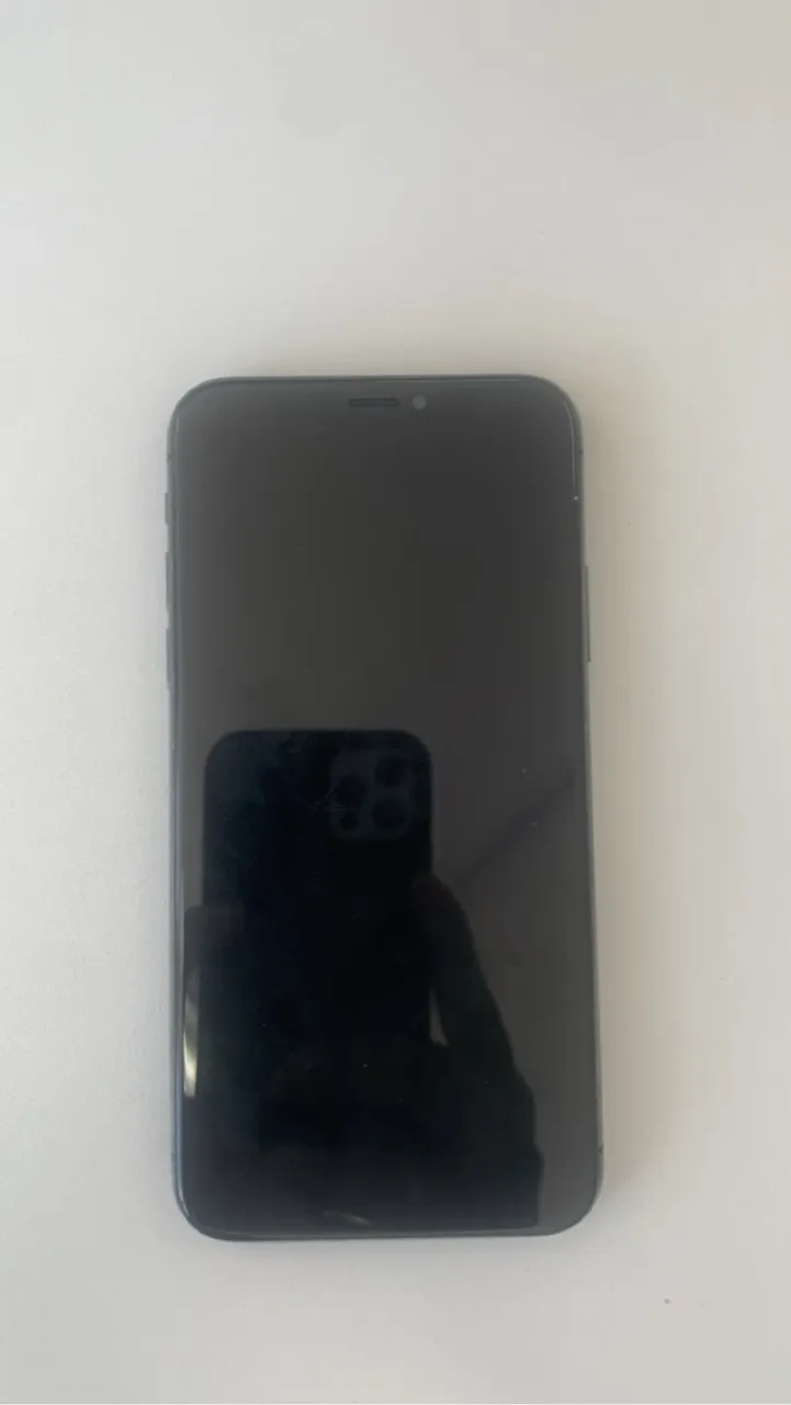 iPhone X