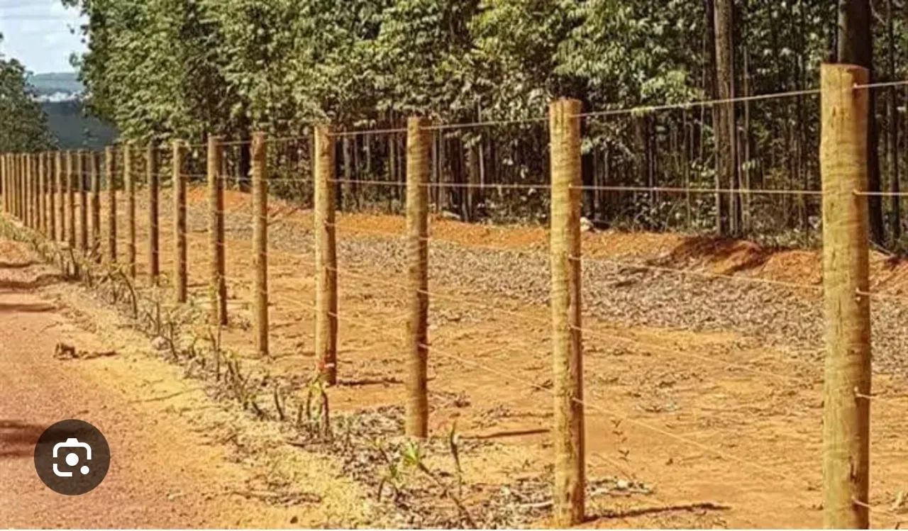 Cerca com eucalipto tratado com preços promocionais///