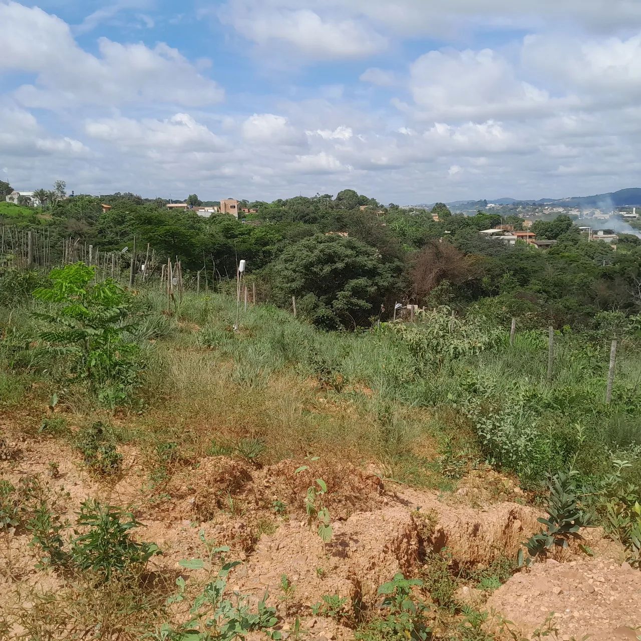 Terreno com área verde em ótima localização - Foto 5