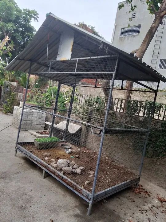 Viveiro para passaros 