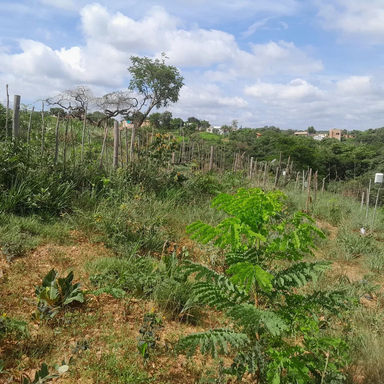 Terreno com área verde em ótima localização