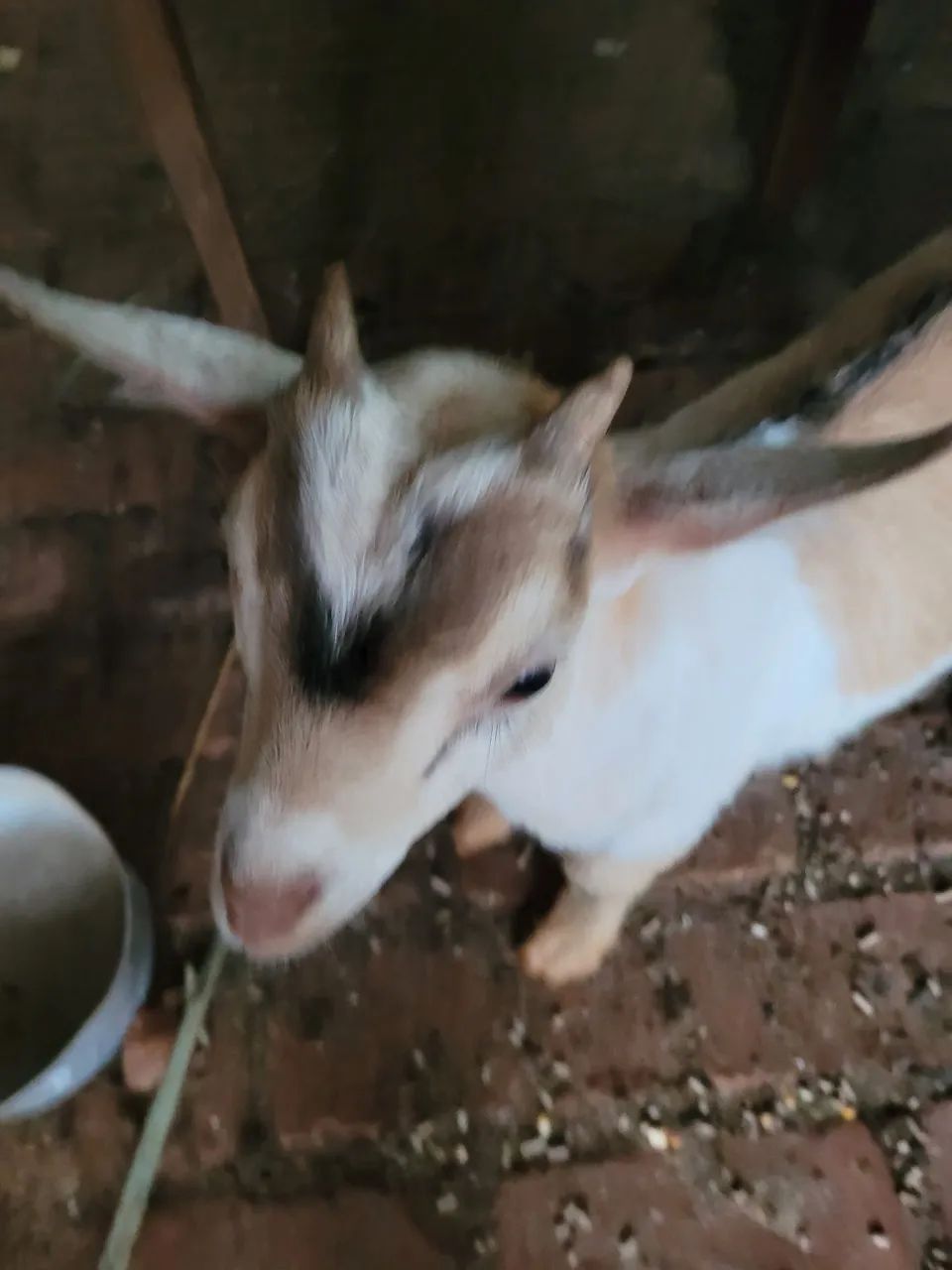 Agronegócio  - Foto 3