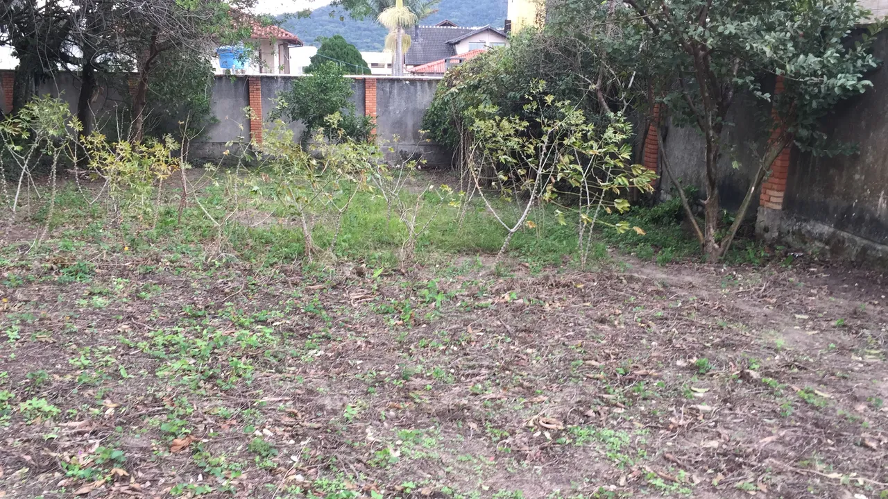Terreno com Escritura Pública no Bairro Rio Tavares